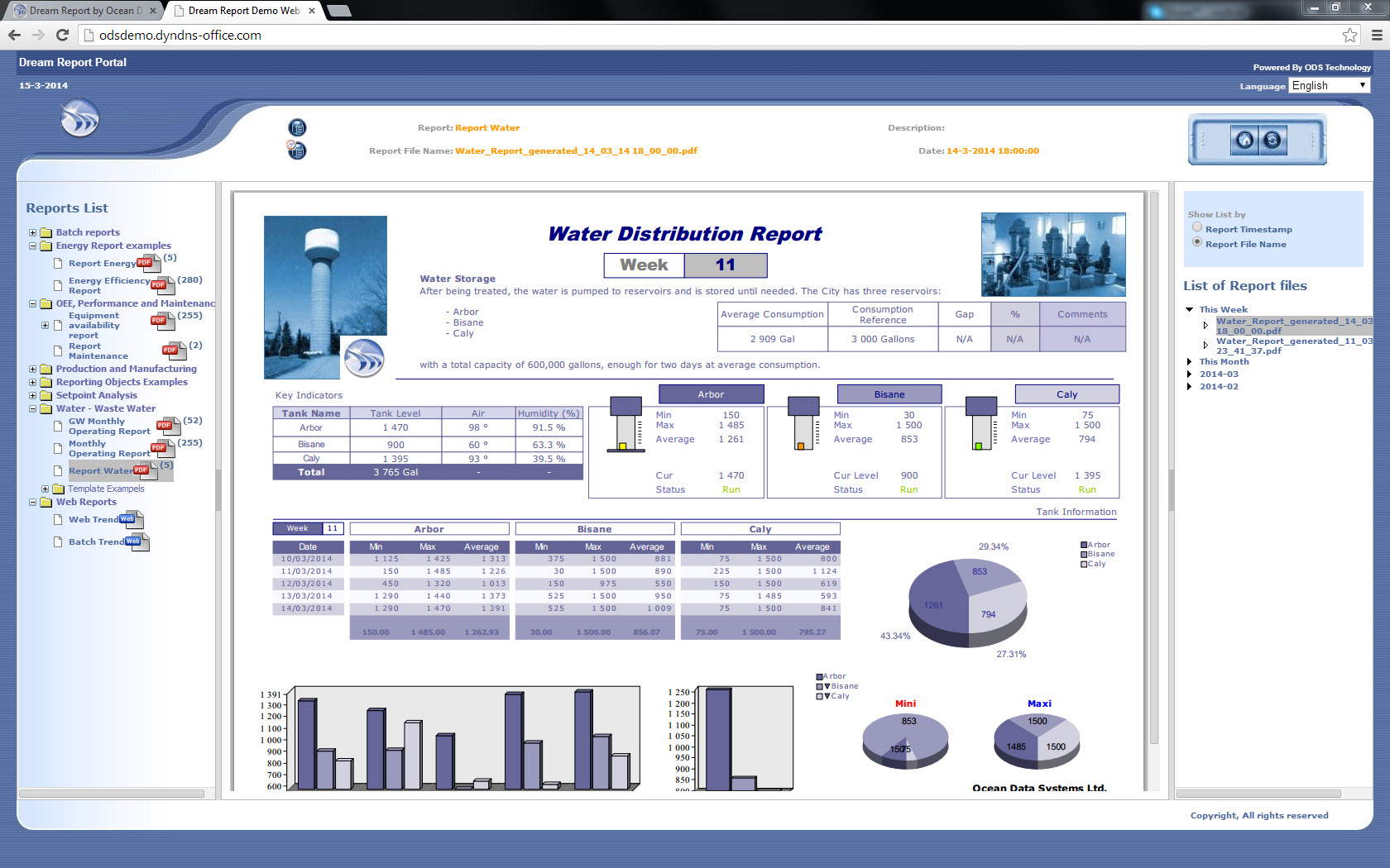 Report Templates and Sample Report Gallery - Dream Report In Reporting Website Templates